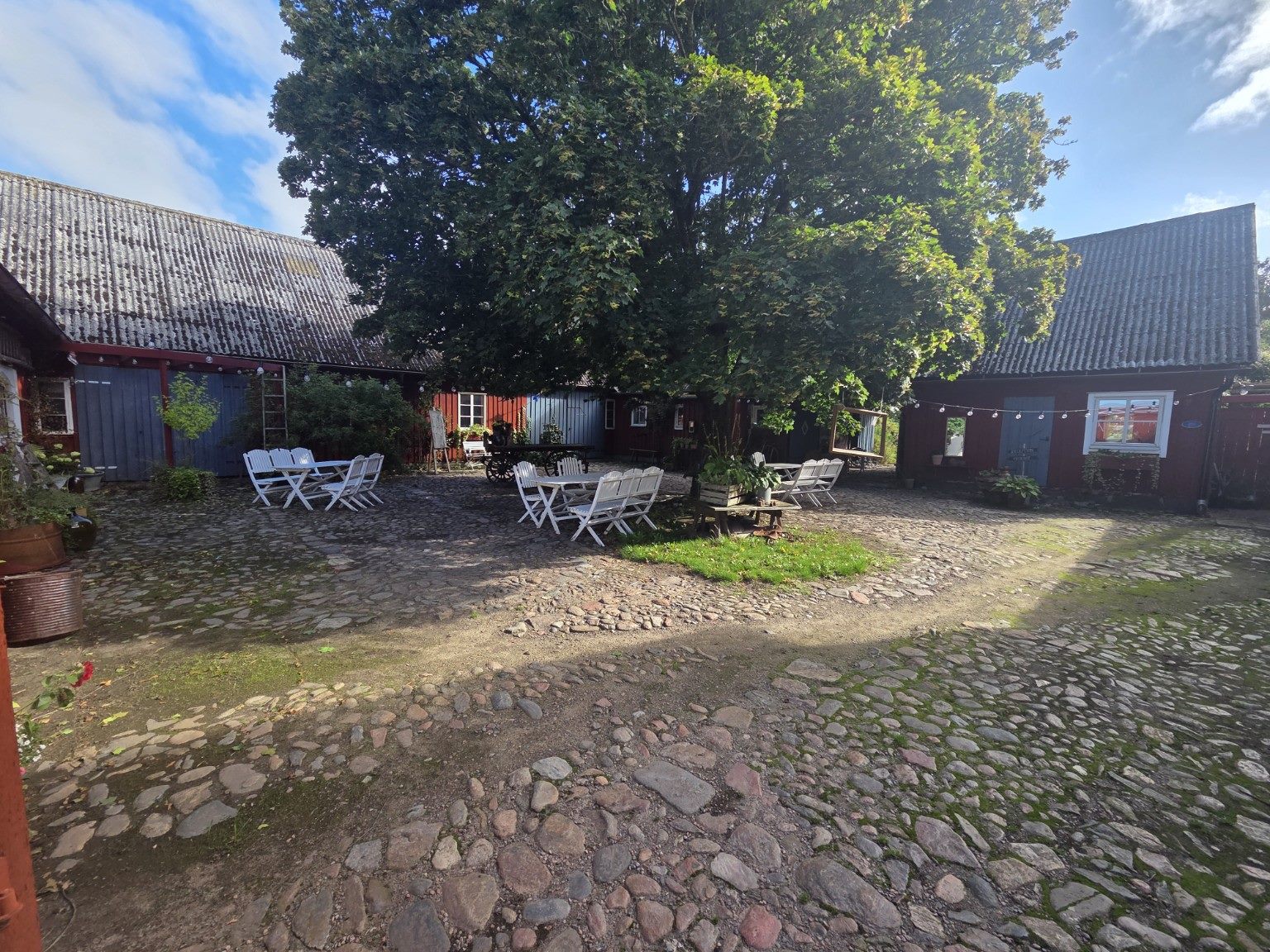 Rönnås Ladas innergård i Tvååker en solig dag, med kullersten, vitt trädgårdsmöblemang och ett stort gammalt vårdträd mellan de faluröda och dalablå husen.